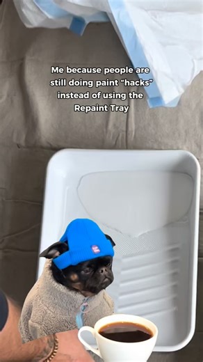 1.1K views · 7 comments | This makes us sad!  We promise once you try the Repaint Tray, you’ll never go back to those sloppy paint “hacks!”  Less mess, Less stress. Better for you and the planet!  #repainttray #reusable #painting | Repaint Studios | Facebook