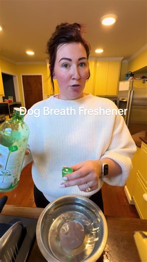 Effective Dog Breath Freshener Tips for Healthier Smiles