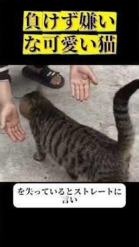 プライド高い猫、疑われて狩りの腕前見せつける