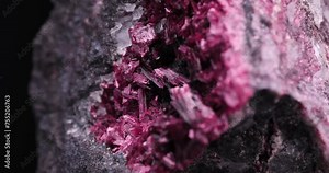 Erythrite crystals macro rotation in 4k. From morocco