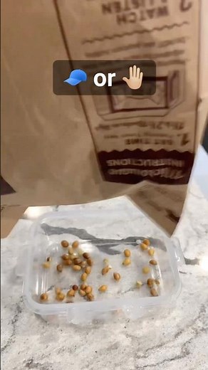 Eliminate All Popcorn Kernels 🍿