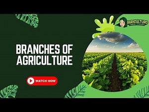 Interesting Facts About Branches of Agriculture