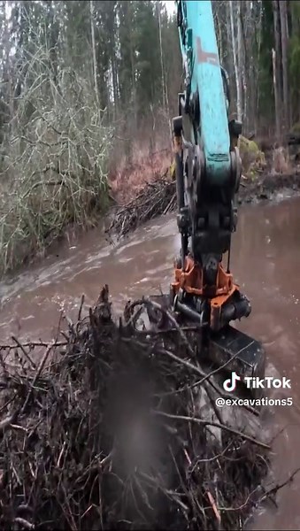 BIG Beaver Dam Removal with Excavator