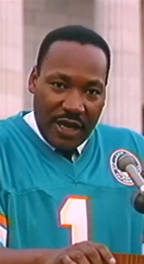 1.9K views · 21 reactions | Dolphins fan can dream  | NFL Talk | Facebook