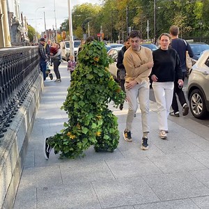 UNMISSABLE🔥 BEST BUSHMAN PRANK COMPILATION...Follow Tourmeka 😍 #bestoftheday #prank #girl #prankster #scared #funnyvideos #humor #viralvideos #laughter #reaction | Tourmeka