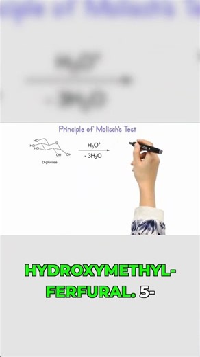 Molisch Test: Oligo/Polysaccharides Explained!