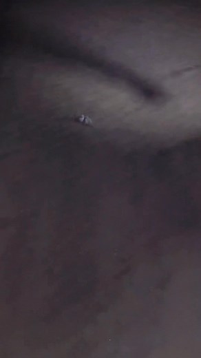 2.9K views · 71 reactions | Update (6:37 PM, Sunday) Along the...