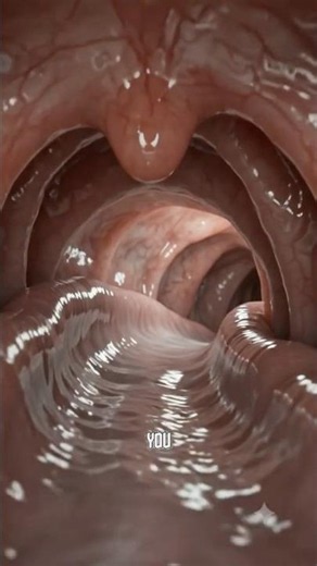 💧 What Happens 10 Minutes After You Drink Water? | Your Body Timeline Explained