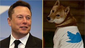 Elon Musk to turn Twitter into a payment platform for dogecoin and cryptocurrency