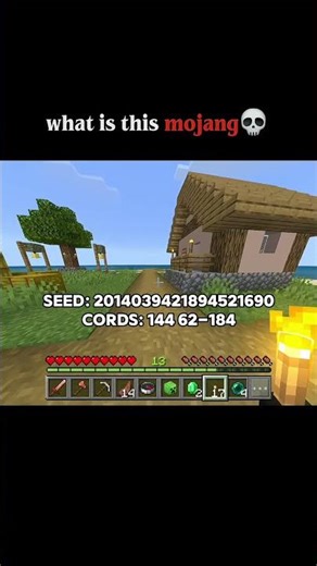 Minecraft 3 tiny villages