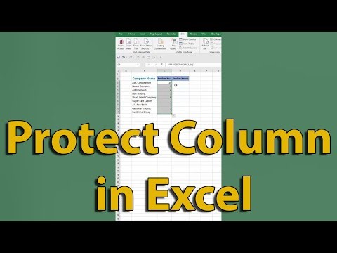 How to Protect Column in Microsoft Excel 2024