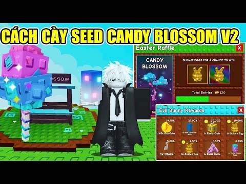 HOW TO GRIND THE NEWLY RETURNED SUPER BEAUTIFUL CANDY BLOSSOM V2 SEEDS IN GROW A GARDEN | Roblox