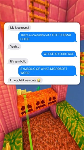 When your face reveal is just... a text format guide 😂 #facereveal #funny #couple