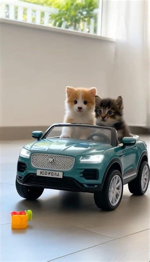 Kitty And Puppy Driving A Car #ai #shorts #kitty #puppy