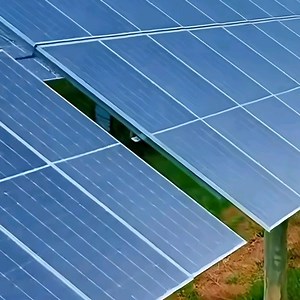 [Hot Item] Complete Biomass Power Generation System Design for Optimal Energy Output