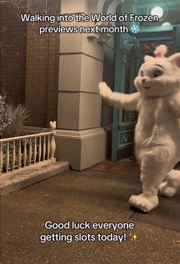 For those of you getting the second wave slots for World of Frozen previews today! Good luck 🤞🏼 ❄️ ✨. Marie giving us the vibes of us all walking in next month ⛄️ 🐱. #disneylandparis #dlp #worldoffrozen #frozen #aristocats
