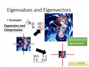 Linear Algebra Lecture 25: Eigenvalues and Eigenvectors