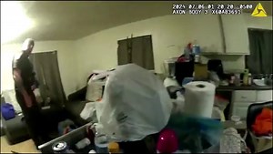 Bodycam video shows Illinois deputy shooting Black woman in her home