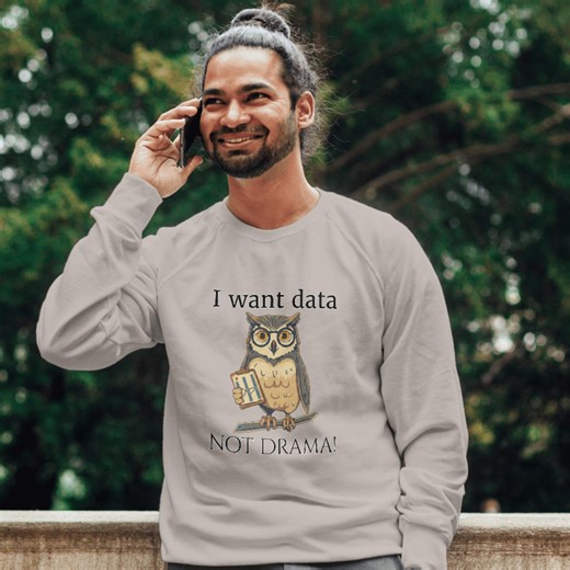Funny Data Analyst Sweatshirt, Owl Spreadsheet Humor Shirt - Etsy