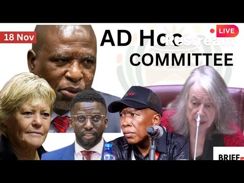 LIVE AD-HOC COMMITTEE: PAUL O'SULLIVAN APPEARS BEFORE PARLIAMENT| 26 FEB 2026