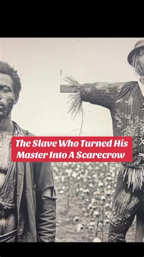 T.O.P. (@theonlyphilippe)’s videos with original sound - T.O.P.