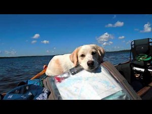 Canoe Camping - 8 days on Canada's Dumoine River