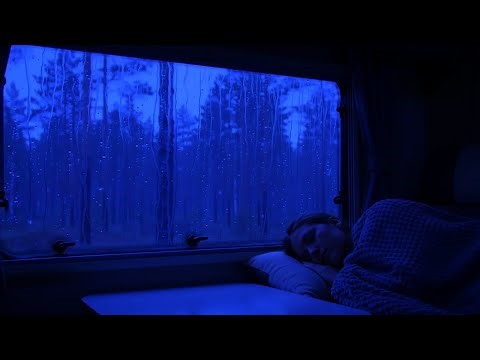 Gentle Rain and Thunder on Window Pane | Sleep Relaxation Video for 3 Hours