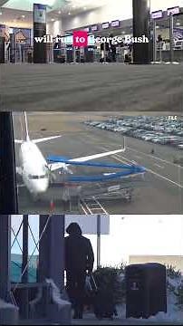 Avelo airlines Tweed airport flights