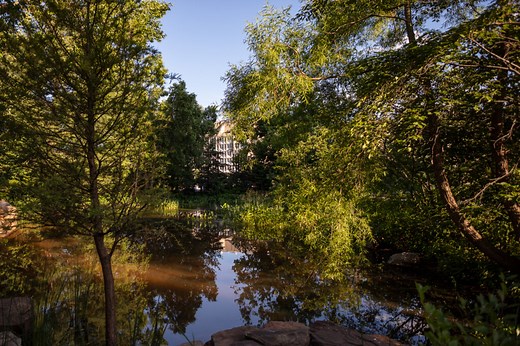 Conservation Landscape Practices in the Chesapeake Bay Watershed - Smithsonian Gardens