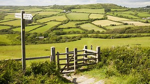 Positive human impacts on biodiversity - Monitoring and maintaining the environment - OCR Gateway  - GCSE Biology (Single Science) Revision - OCR Gateway - BBC Bitesize