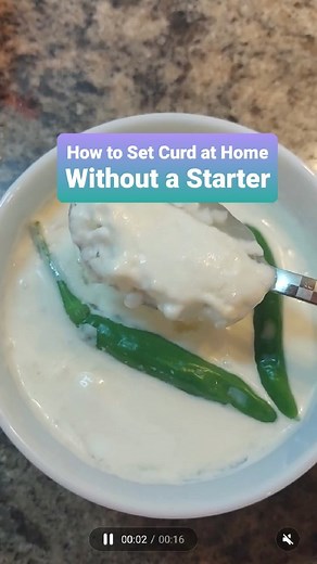 Early Foods | Don't have a good spoon of curd to set your own curd at home? Try this traditional & easy method to start making curd from scratch and... | Instagram