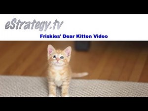 Friskies' Dear Kitten Video