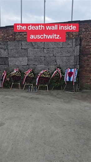 Reflecting on the Death Wall at Auschwitz