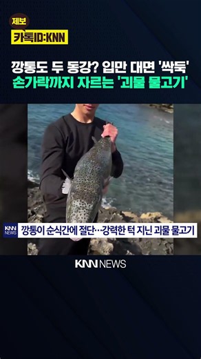 깡통도 한 순간에 '절단' 깜짝 괴물 턱 가진 물고기의 정체 / KNN