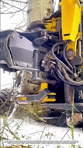 Máquina de tala automática en acción: Cómo la tecnología moderna simplifica la silvicultura