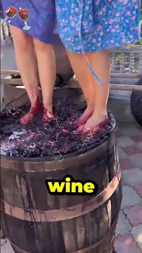 Why Wine Is Still Made by Barefoot Grape Stomping 🍇🥂