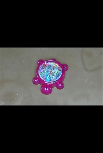 Epoxy Resin Turtle Shaker