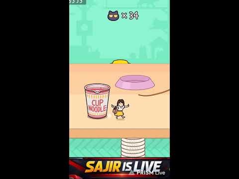 HIDE AND SEEK CAT ESCAPE #hideandseekcatescape