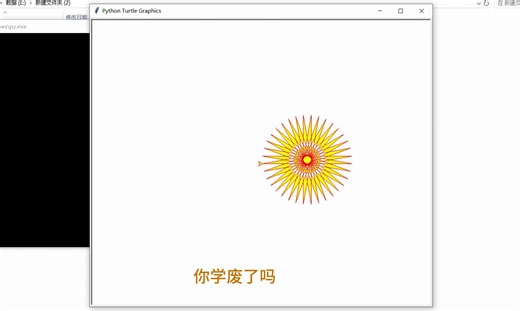 Python简单几行代码就能绘制太阳花(附源码)