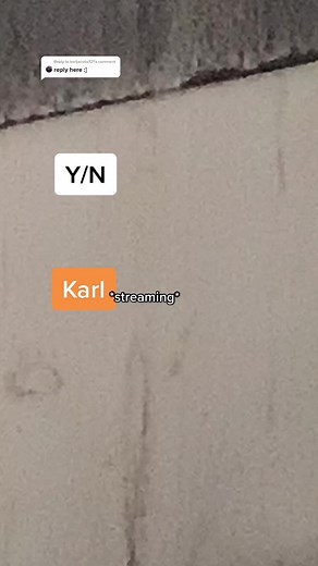 Dating Karl Jacobs POV: Dream SMP Story with Y/N