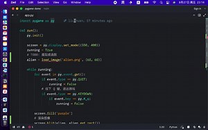 在 pygame 中加载和渲染图片