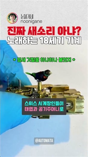 진짜 새소리 아냐? 노래하는 18세기 기계