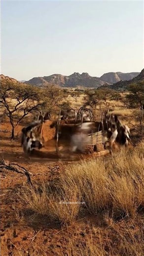 This Ancient African Mud House Rose From Bare Earth in 16 Seconds