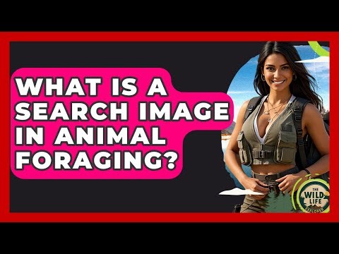 What Is A Search Image In Animal Foraging? - The Wild Life Explorer