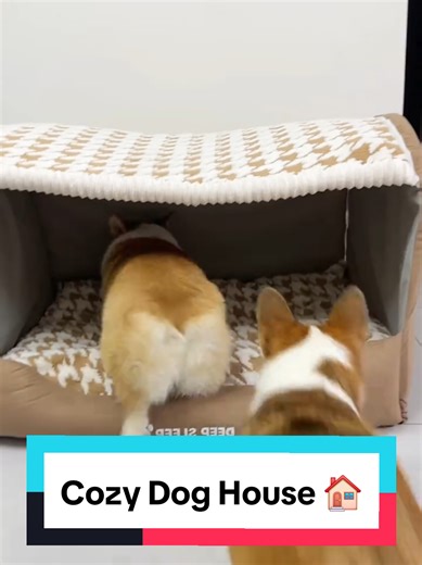 Cozy Dog House for Your Beloved Pets