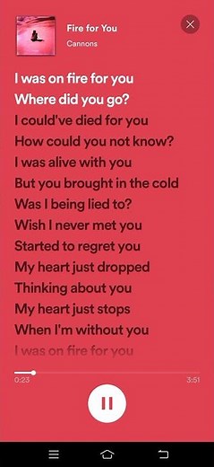 Fire for you lyrics - Cannons