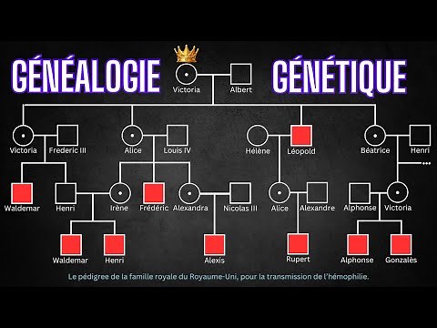 La généalogie en génétique