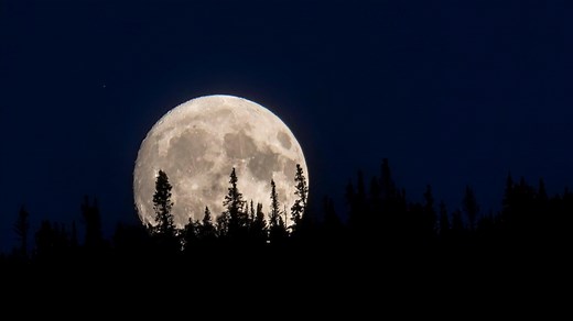 First Full Moon of Summer 2025 shines this week - The Weather Network