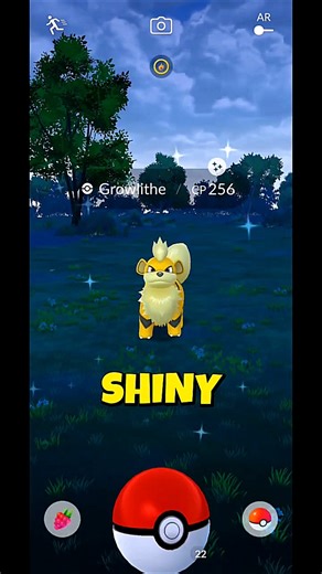 ​I Can't Believe This Shiny Growlithe Spawned! ✨ | Pokemon GO #PokemonGO #Shorts #ASMR