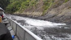 21K views · 399 reactions | How do you receive Our Daily Bread...